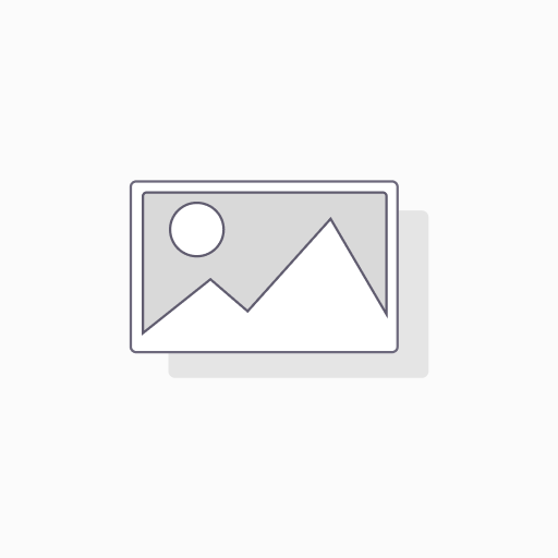 Solo ( For small teams )